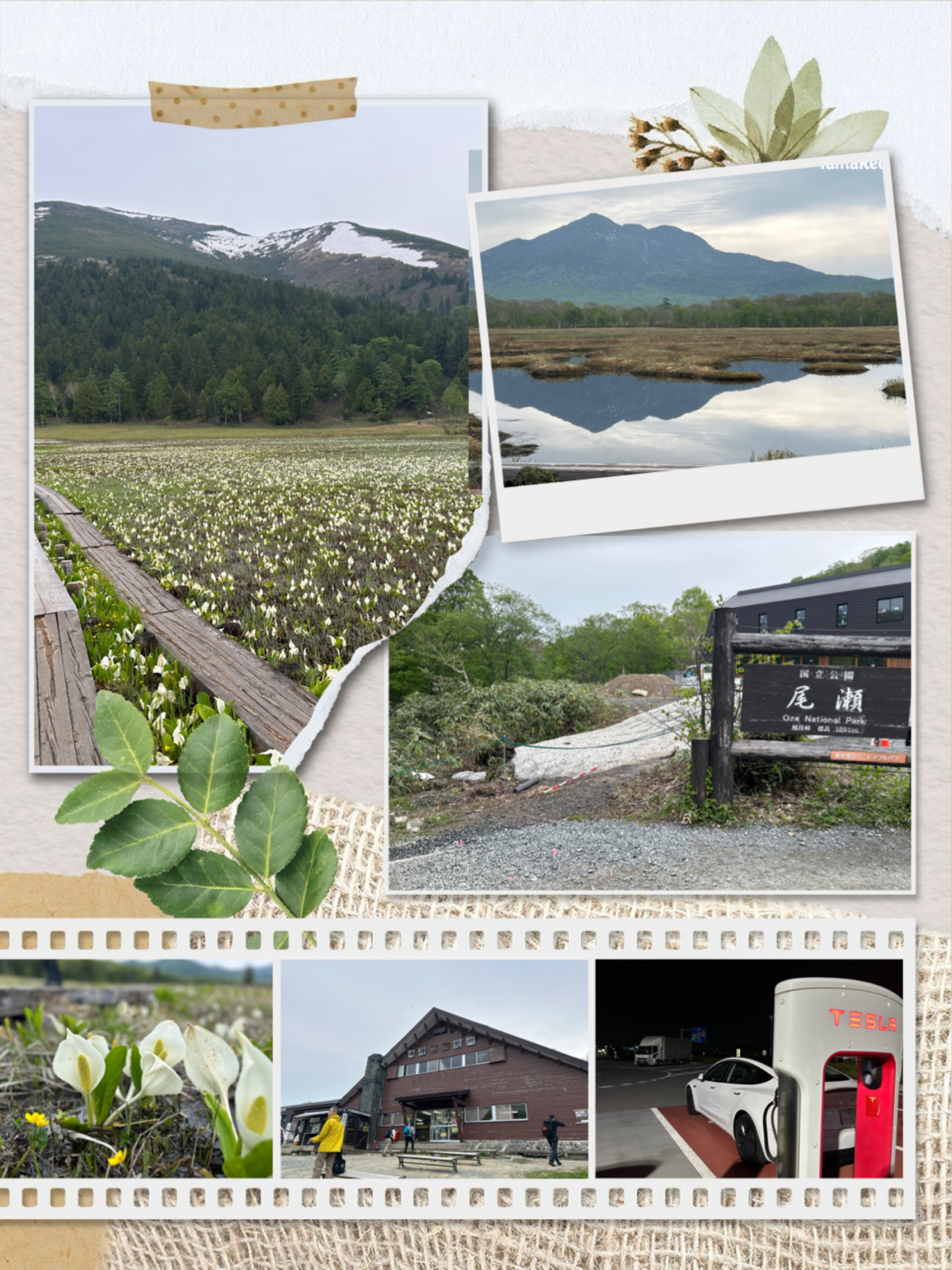 写真 5